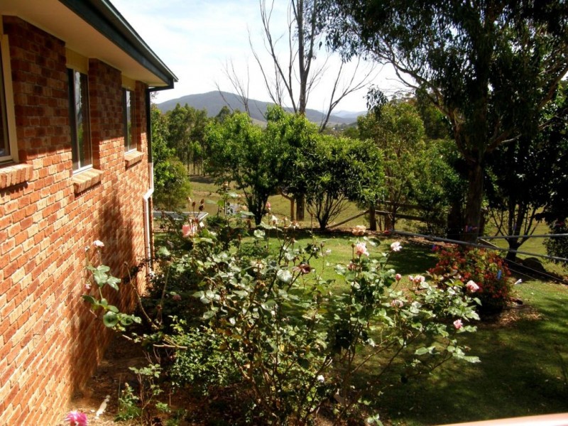 481 Myrtle Mountain Road, Wyndham NSW 2550
