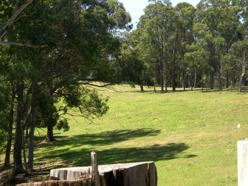 481 Myrtle Mountain Road, Wyndham NSW 2550