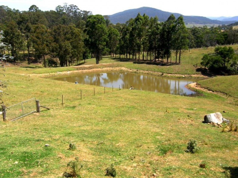 481 Myrtle Mountain Road, Wyndham NSW 2550