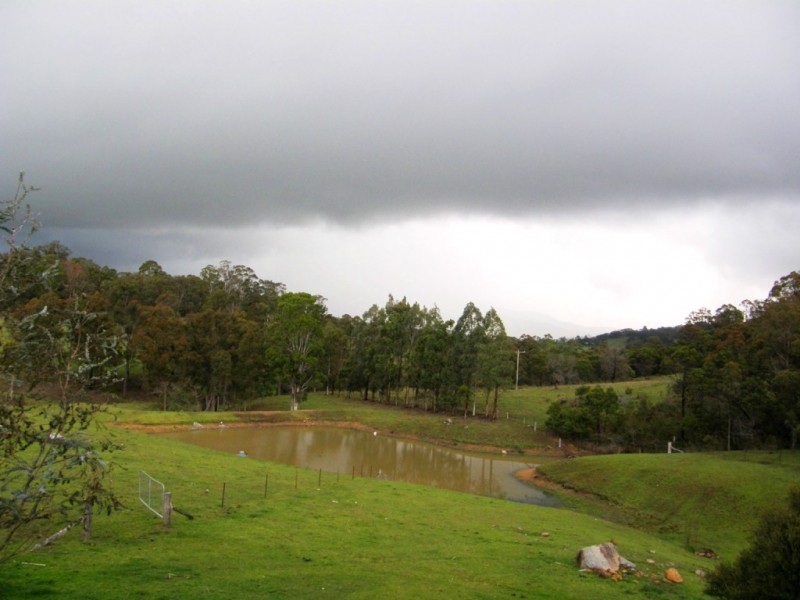 481 Myrtle Mountain Road, Wyndham NSW 2550