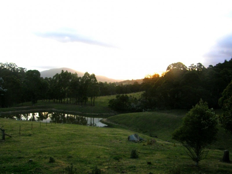 481 Myrtle Mountain Road, Wyndham NSW 2550