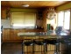 481 Myrtle Mountain Road, Wyndham NSW 2550