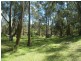 Lot 892 Moreings Road, Candelo NSW 2550