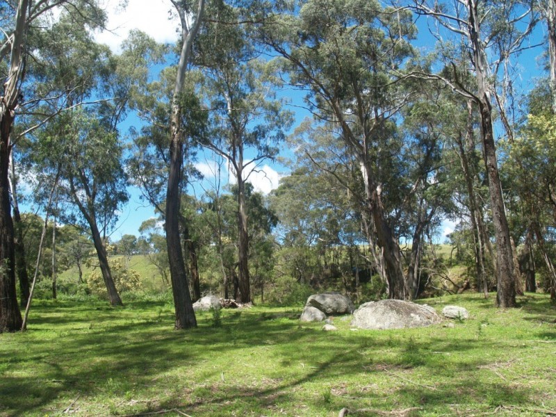 Lot 892 Moreings Road, Candelo NSW 2550