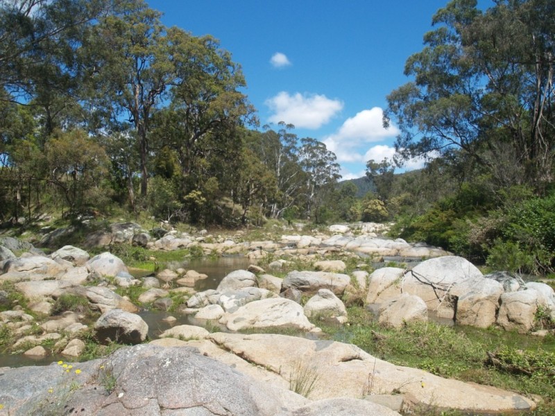 Lot 892 Moreings Road, Candelo NSW 2550