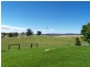 864 Candelo Wolumla Rd, Toothdale NSW 2550