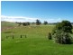 864 Candelo Wolumla Rd, Toothdale NSW 2550