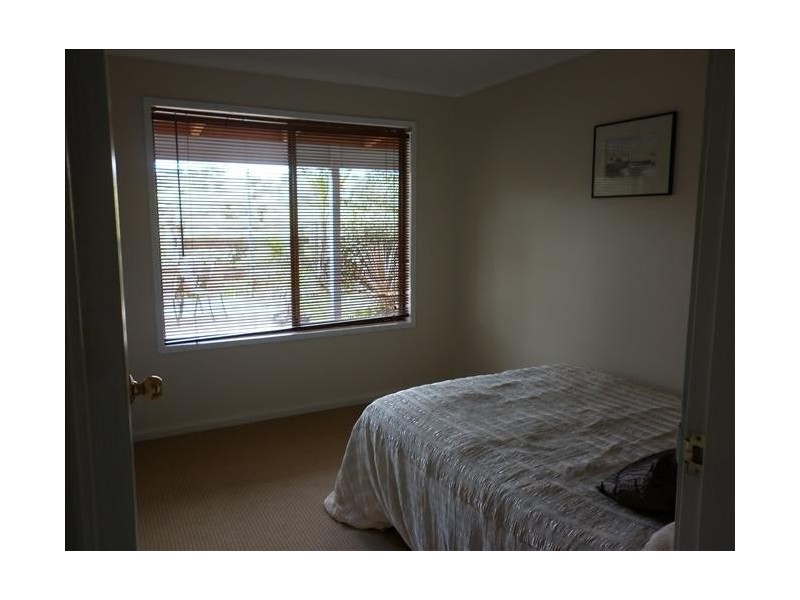 226 Daisy Hill Rd, Bega NSW 2550