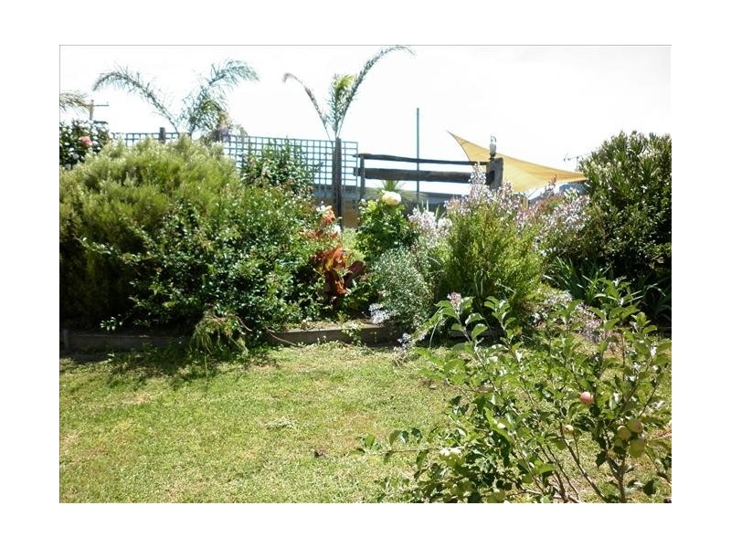 226 Daisy Hill Rd, Bega NSW 2550