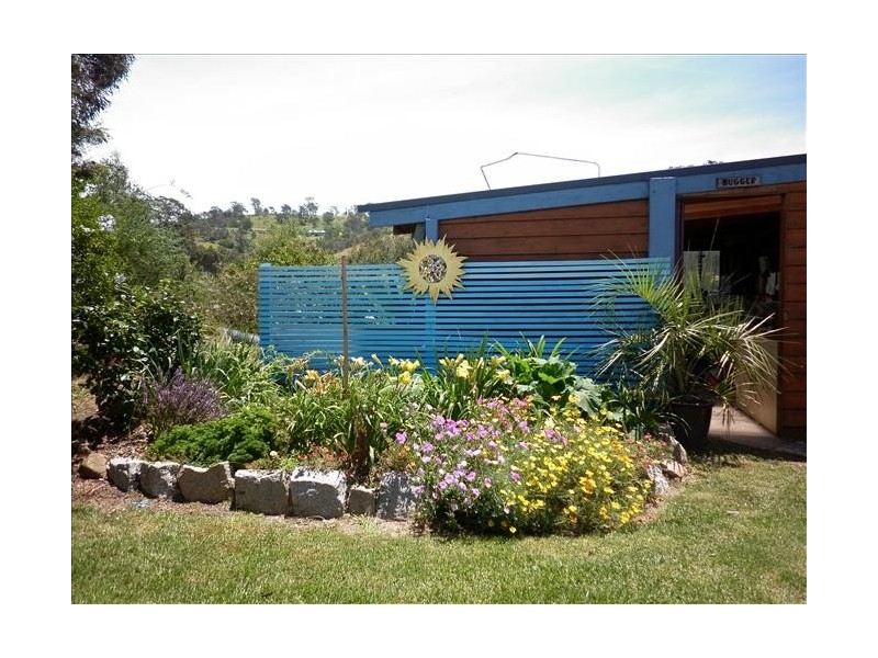 226 Daisy Hill Rd, Bega NSW 2550