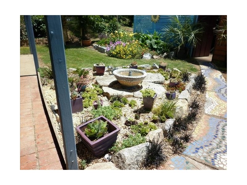 226 Daisy Hill Rd, Bega NSW 2550