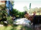 226 Daisy Hill Rd, Bega NSW 2550
