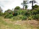226 Daisy Hill Rd, Bega NSW 2550