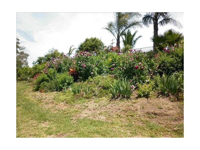 226 Daisy Hill Rd, Bega NSW 2550