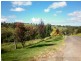 226 Daisy Hill Rd, Bega NSW 2550