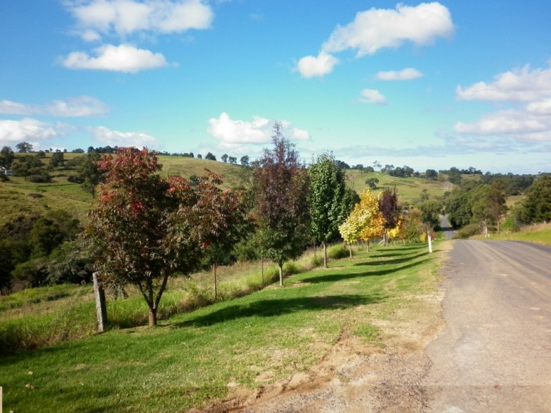 226 Daisy Hill Rd, Bega NSW 2550