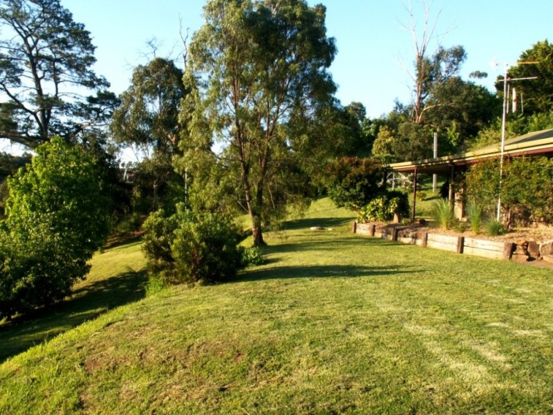 22-24 William St, Candelo NSW 2550