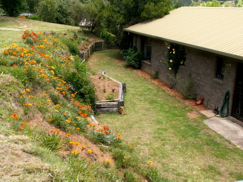 22-24 William St, Candelo NSW 2550