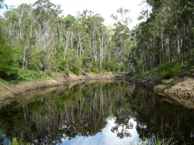 276 Dorrigo Road, Brogo NSW 2550