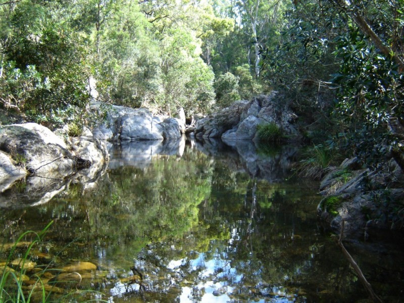 276 Dorrigo Road, Brogo NSW 2550