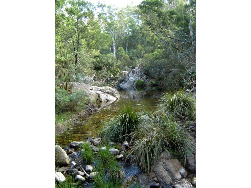 276 Dorrigo Road, Brogo NSW 2550