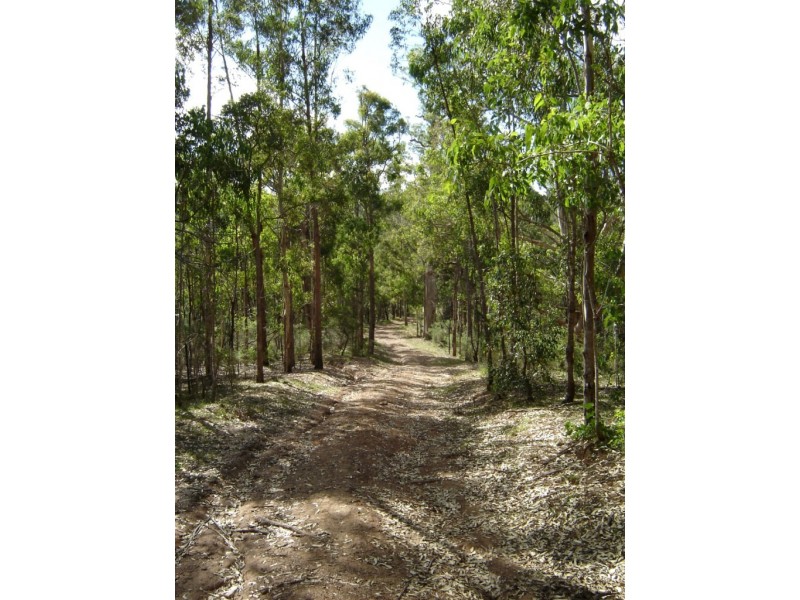 276 Dorrigo Road, Brogo NSW 2550