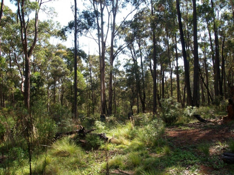 Lot 33 Myrtle Mtn Rd, Candelo NSW 2550