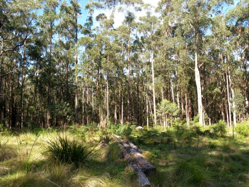 Lot 33 Myrtle Mtn Rd, Candelo NSW 2550