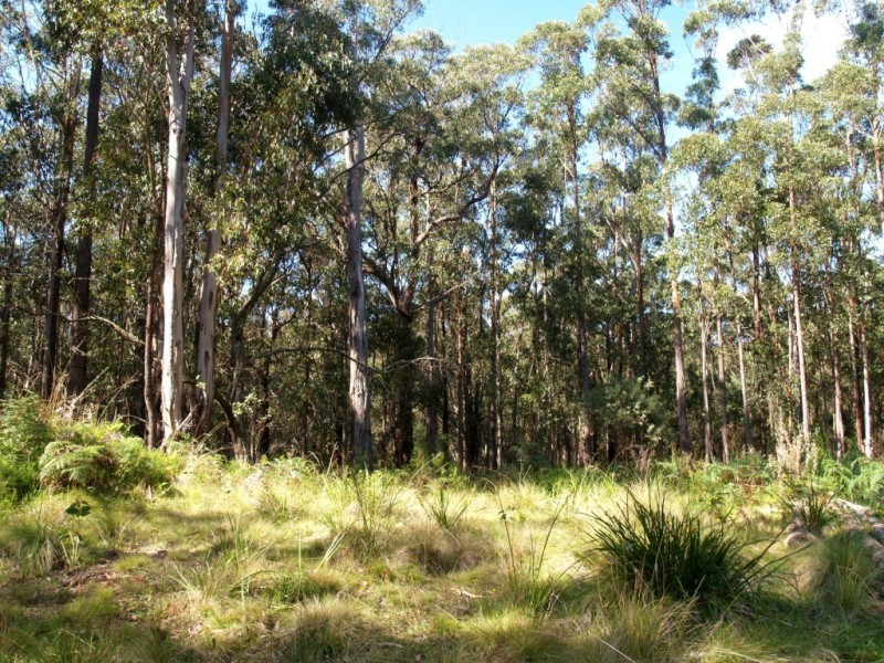 Lot 33 Myrtle Mtn Rd, Candelo NSW 2550