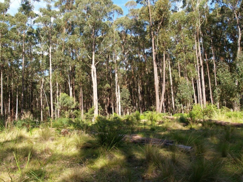 Lot 33 Myrtle Mtn Rd, Candelo NSW 2550