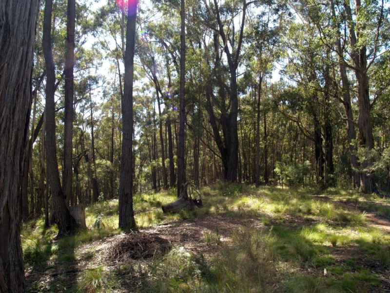 Lot 33 Myrtle Mtn Rd, Candelo NSW 2550
