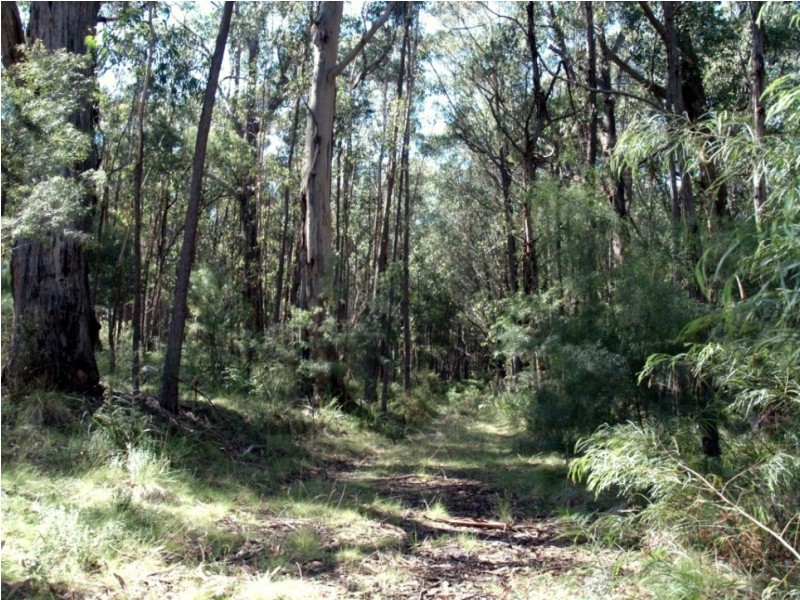 Lot 33 Myrtle Mtn Rd, Candelo NSW 2550