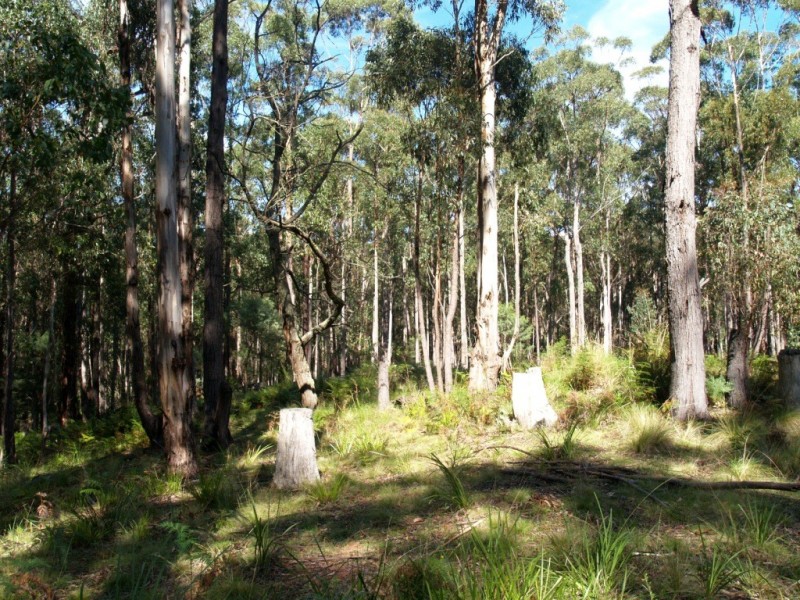 Lot 33 Myrtle Mtn Rd, Candelo NSW 2550