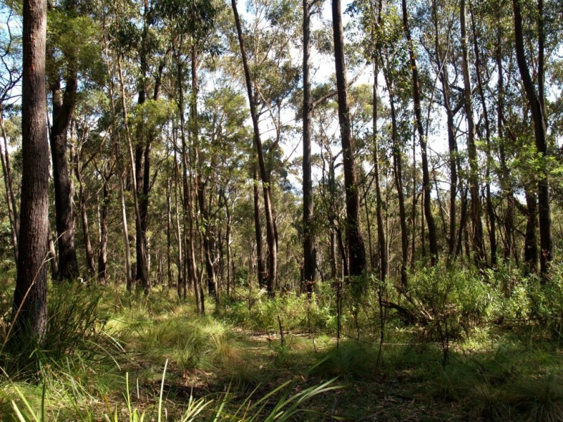 Lot 33 Myrtle Mtn Rd, Candelo NSW 2550