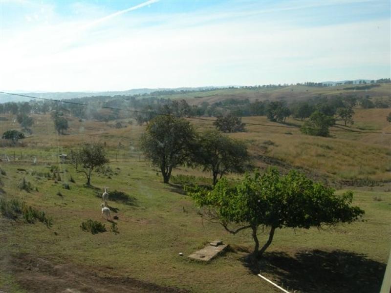 124 Mogilla Road, Candelo NSW 2550