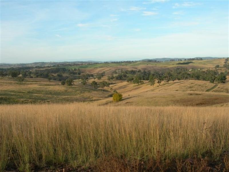 124 Mogilla Road, Candelo NSW 2550