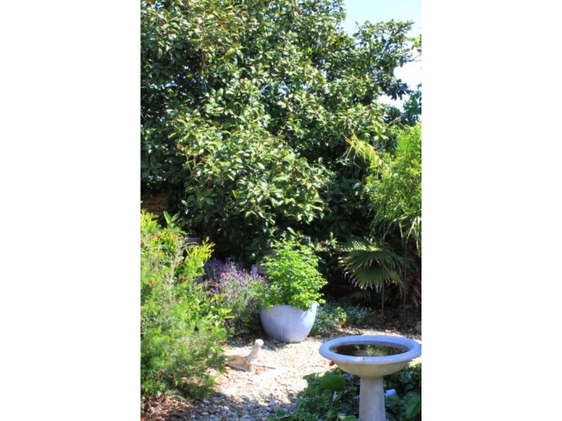 7 Tathra Rd, Bega NSW 2550