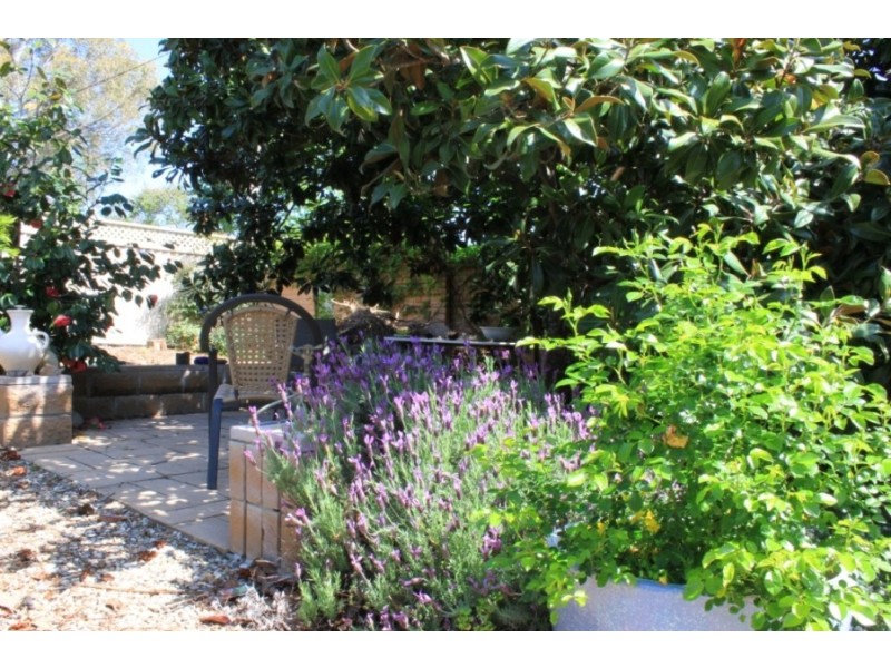 7 Tathra Rd, Bega NSW 2550