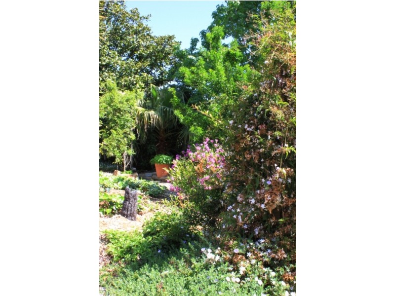 7 Tathra Rd, Bega NSW 2550
