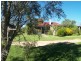 419 Towridgee Lane, Candelo NSW 2550