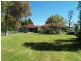 419 Towridgee Lane, Candelo NSW 2550