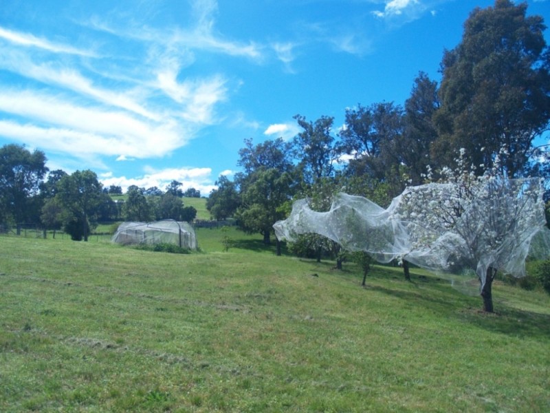 250 Upper Cobargo Rd, Bega NSW 2550