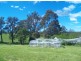 250 Upper Cobargo Rd, Bega NSW 2550
