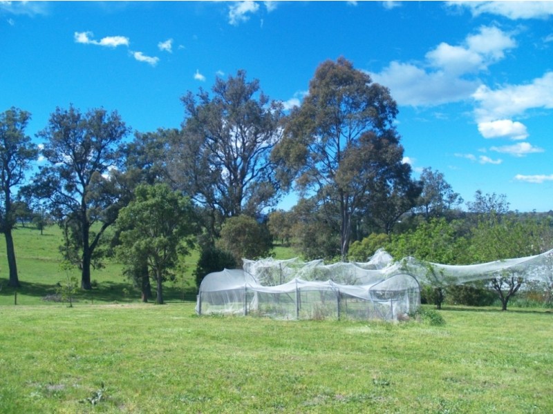 250 Upper Cobargo Rd, Bega NSW 2550