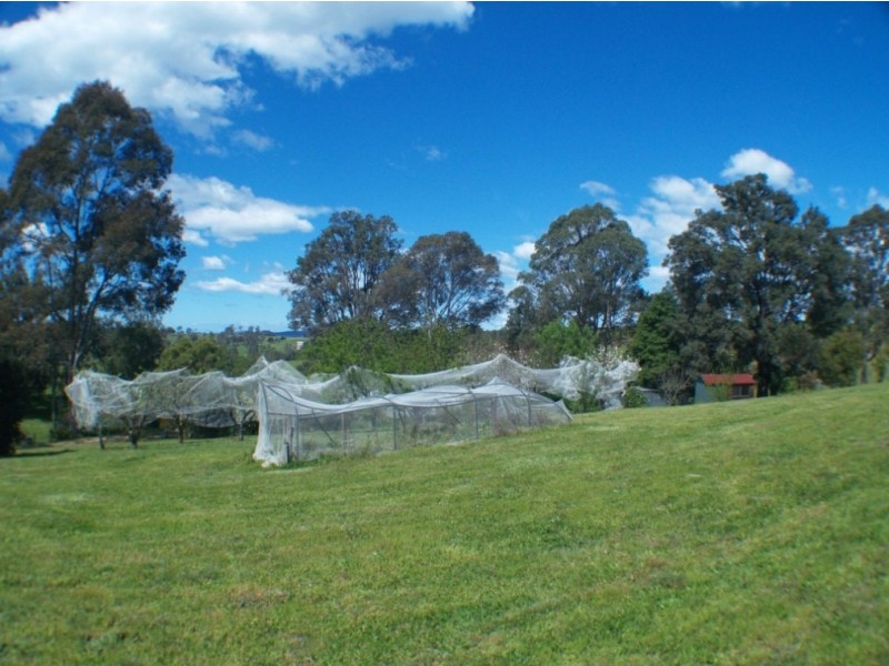250 Upper Cobargo Rd, Bega NSW 2550