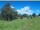 250 Upper Cobargo Rd, Bega NSW 2550