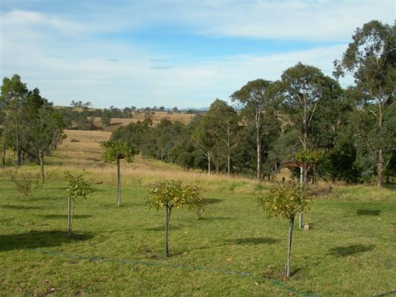 137 Nobby Park Road, Bemboka NSW 2550