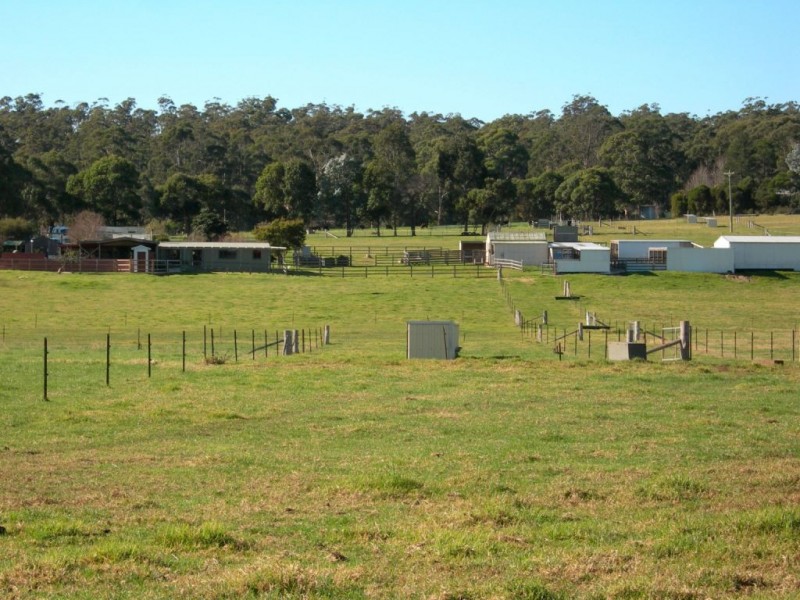 100 Yowaka River Road, Greigs Flat NSW 2549