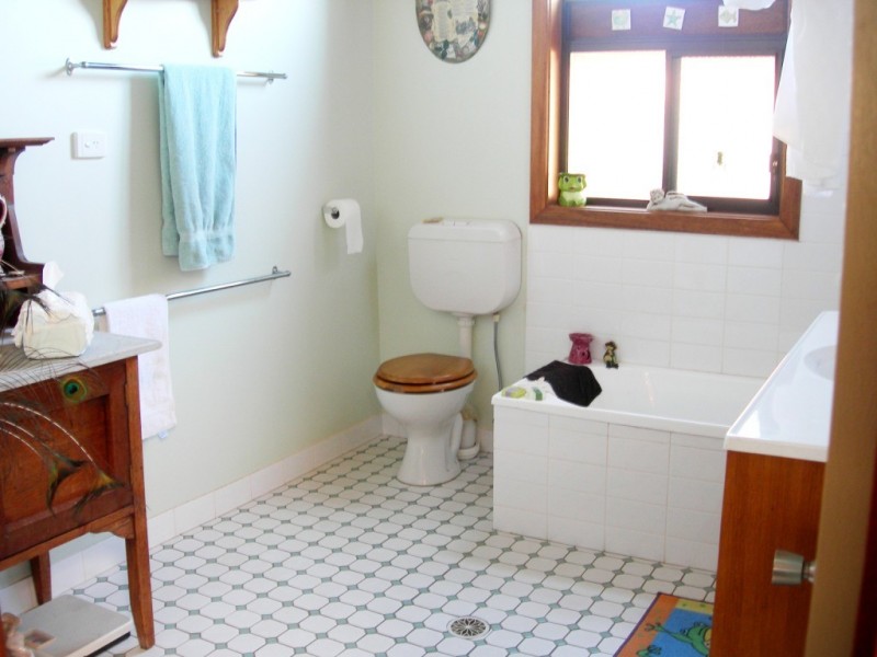 100 Yowaka River Road, Greigs Flat NSW 2549