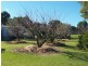 100 Yowaka River Road, Greigs Flat NSW 2549